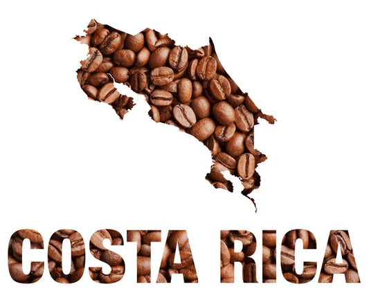 Costa Rica Origin